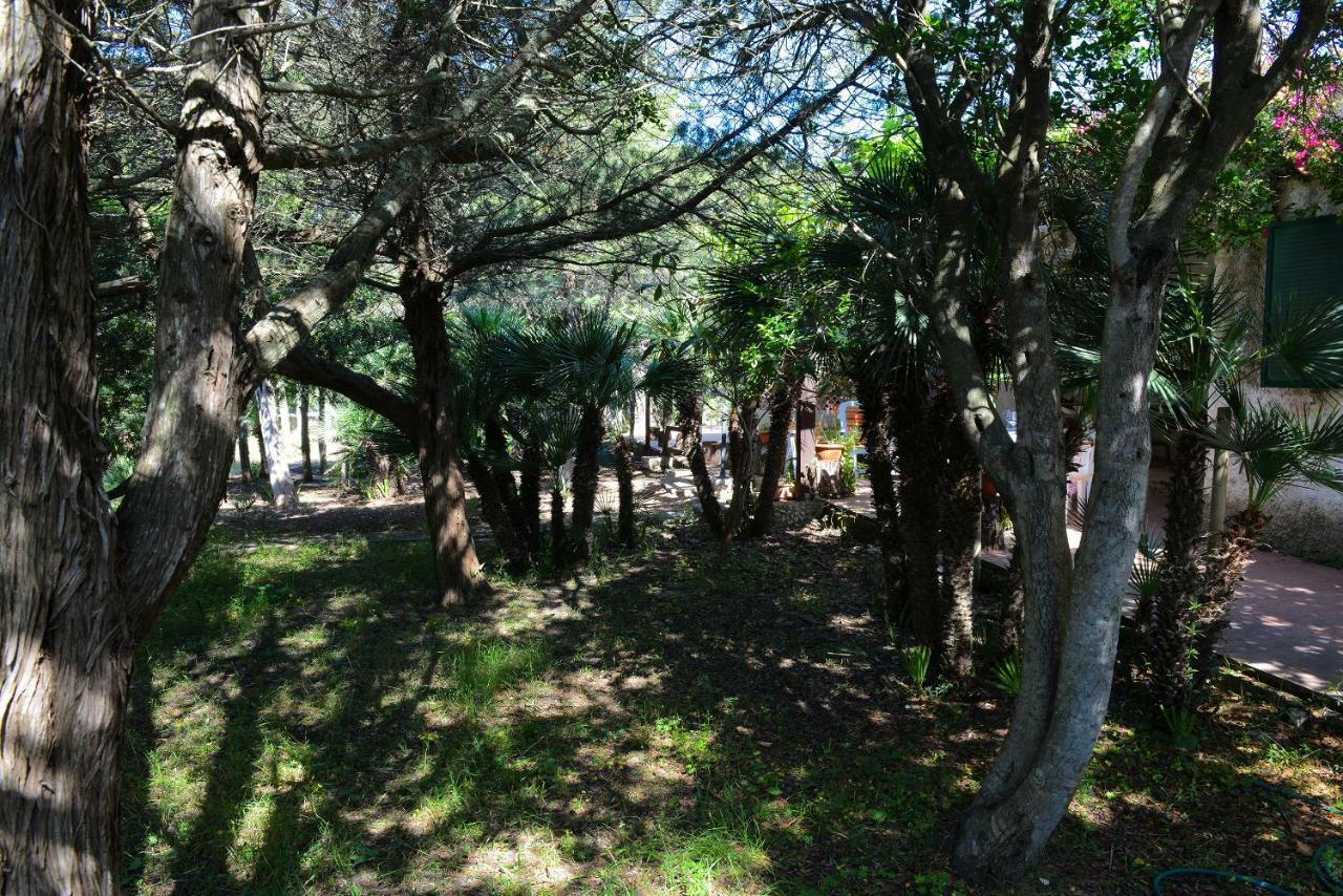 Villa Margherita アルゲーロ エクステリア 写真