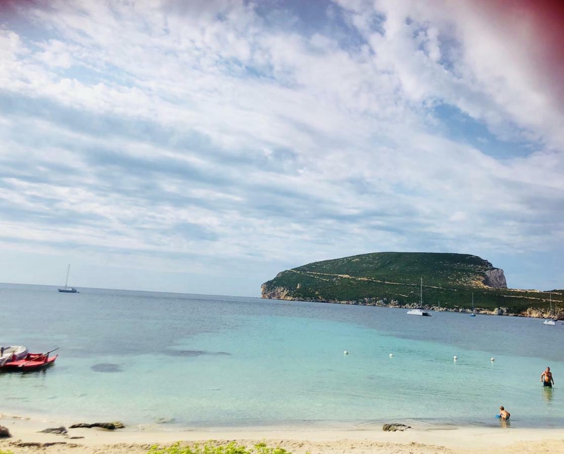 Villa Margherita アルゲーロ エクステリア 写真